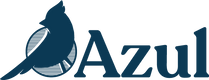 Translation missing: tr.Azul design and store accessibility.home